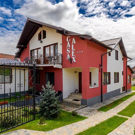 Hotel Casa Alex Călimăneşti Extérieur photo