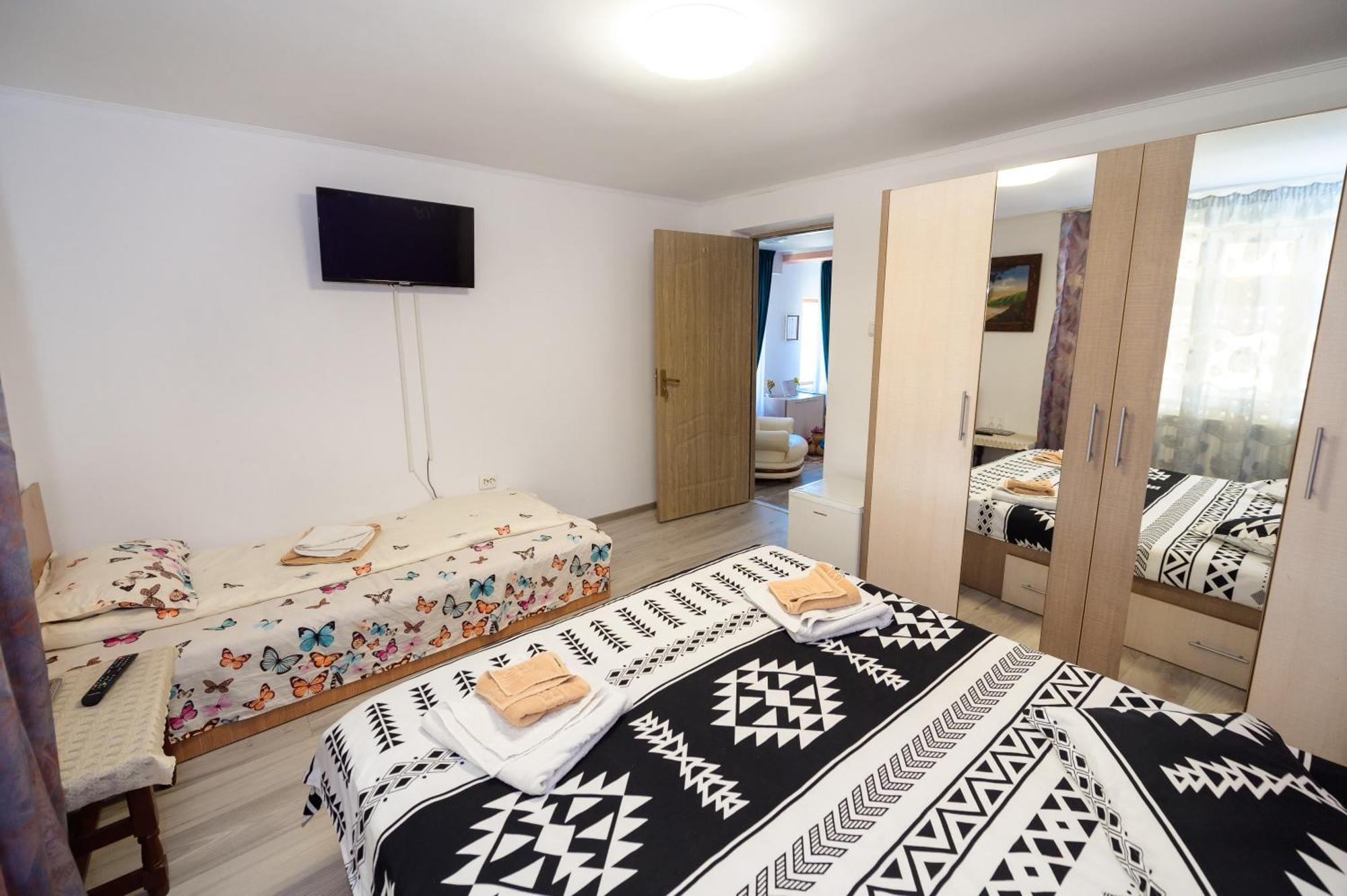 Hotel Casa Alex Călimăneşti Extérieur photo
