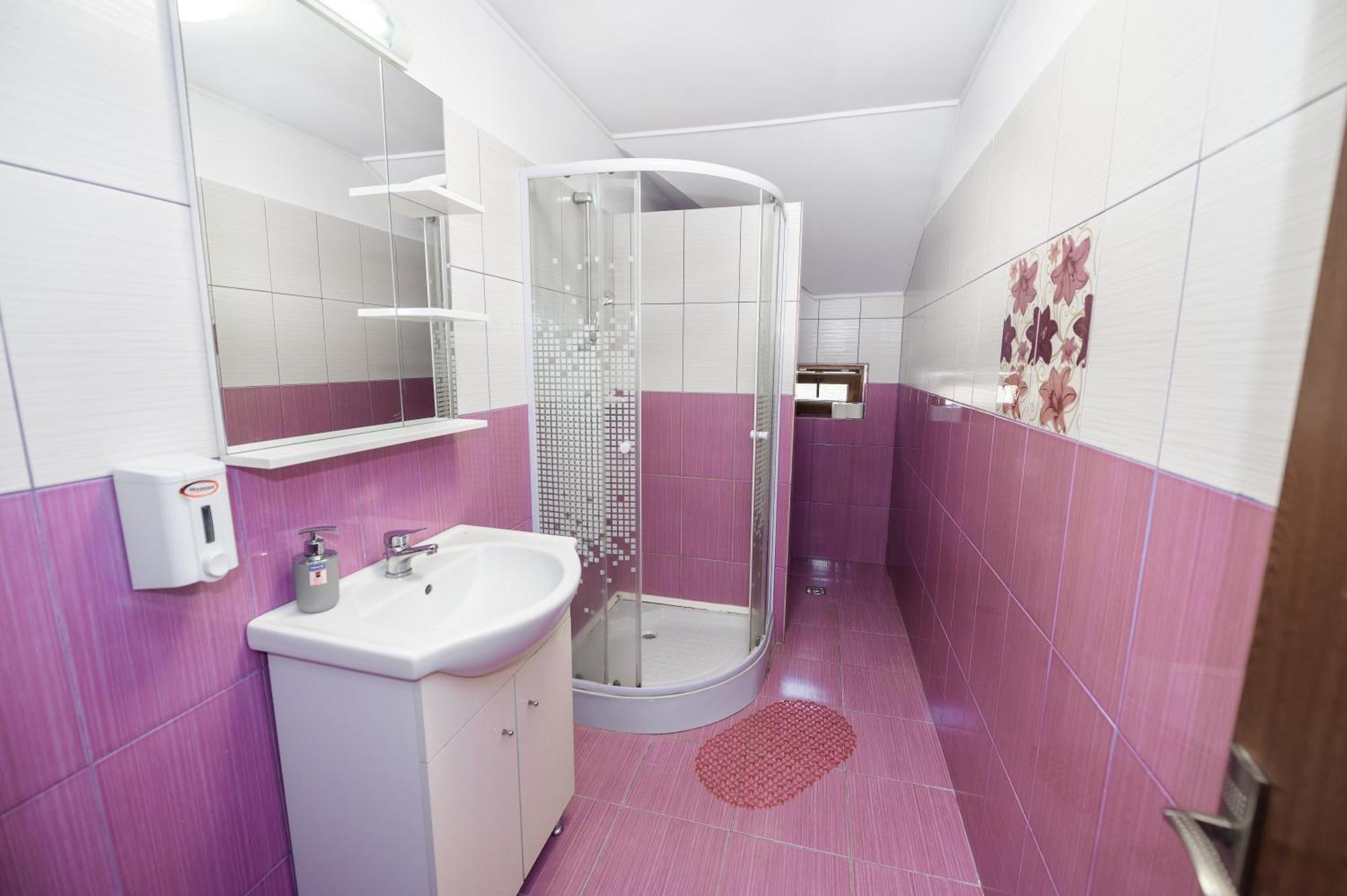 Hotel Casa Alex Călimăneşti Extérieur photo
