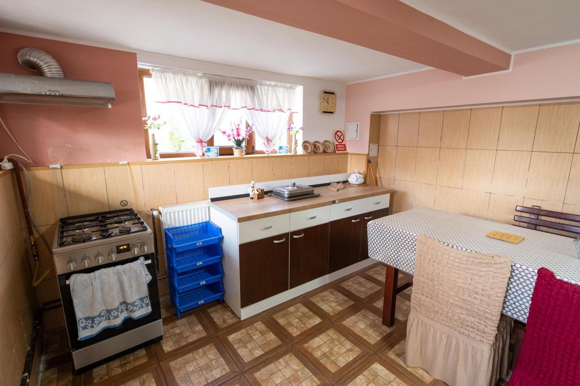 Hotel Casa Alex Călimăneşti Extérieur photo