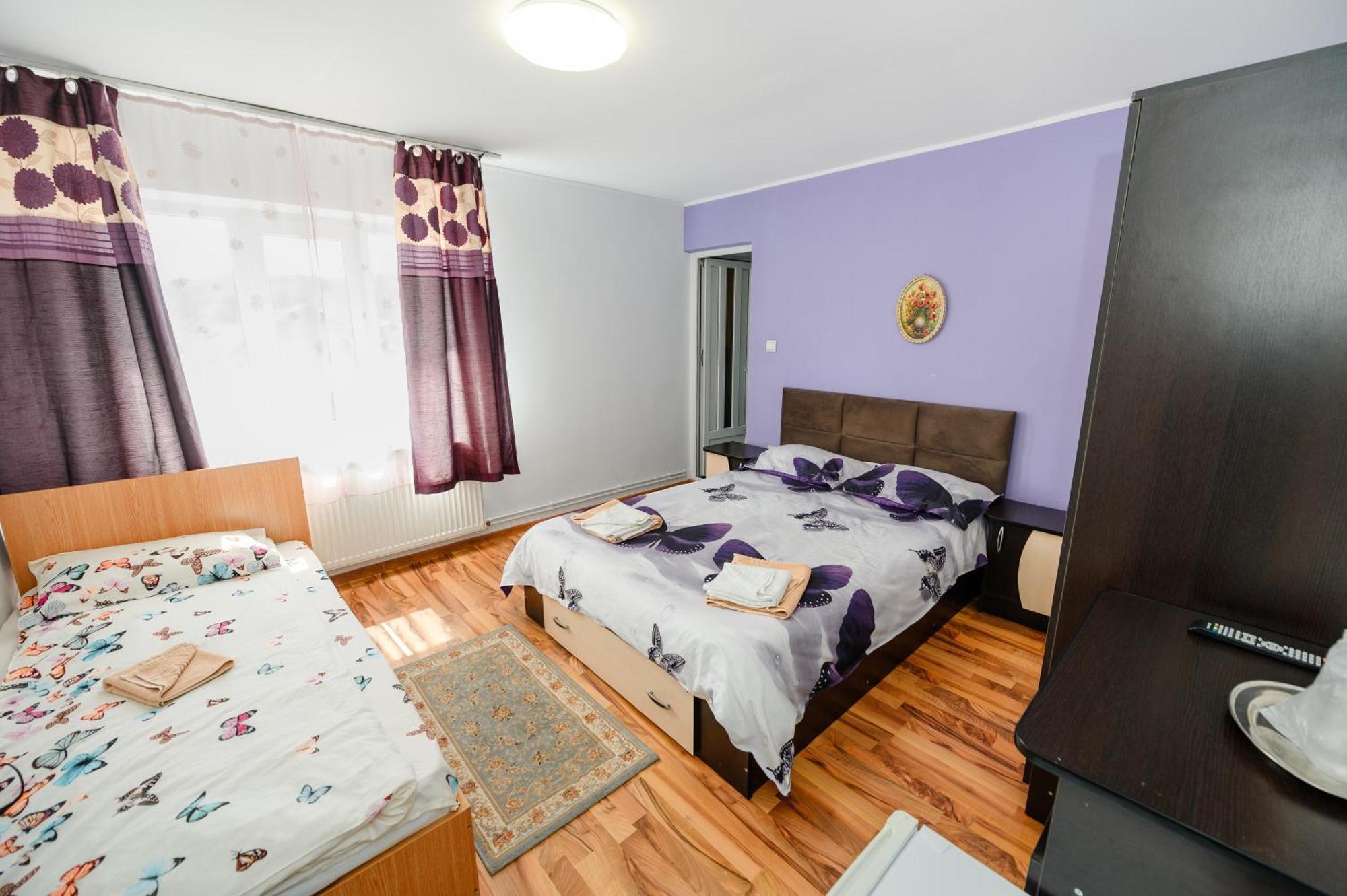 Hotel Casa Alex Călimăneşti Extérieur photo